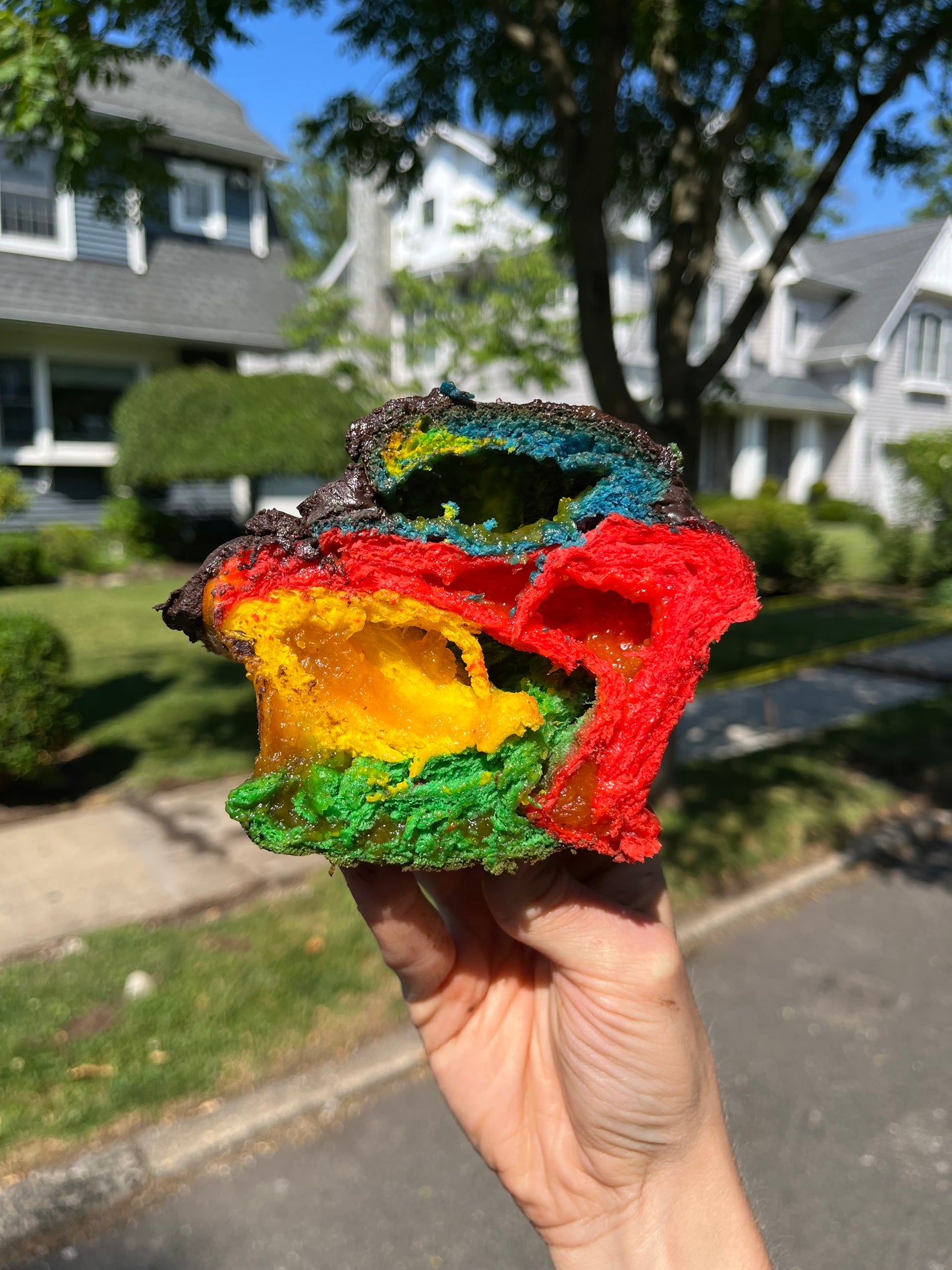 Italian Rainbow Cookie Challah