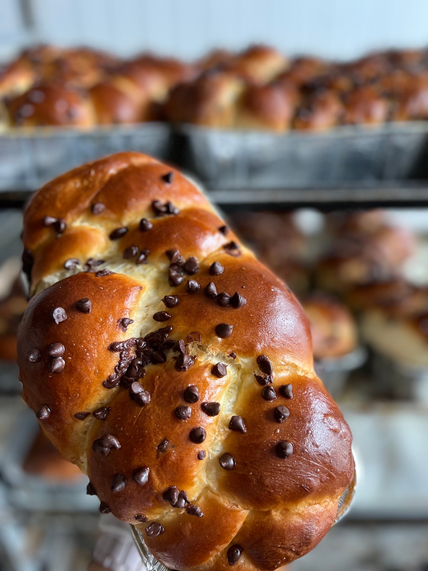 Chocolate Chip