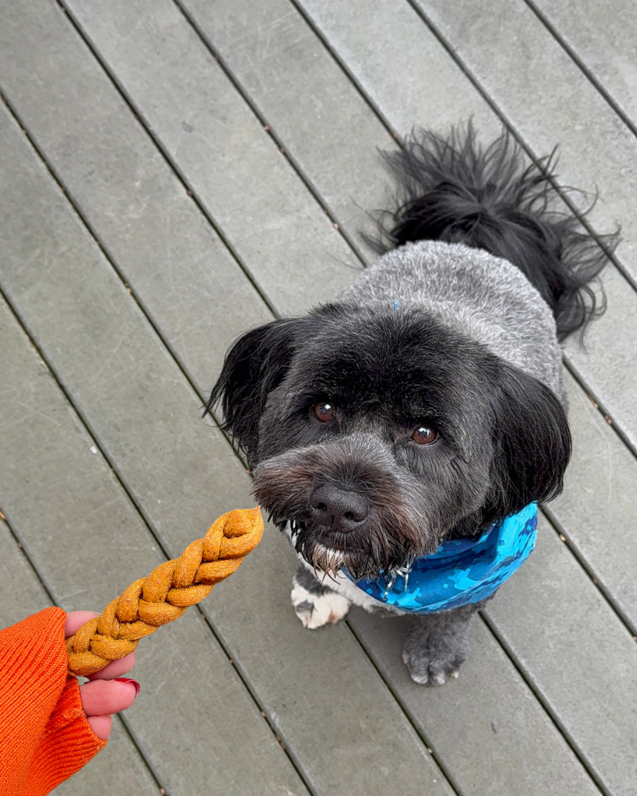 NEW! Braided Bark Bites